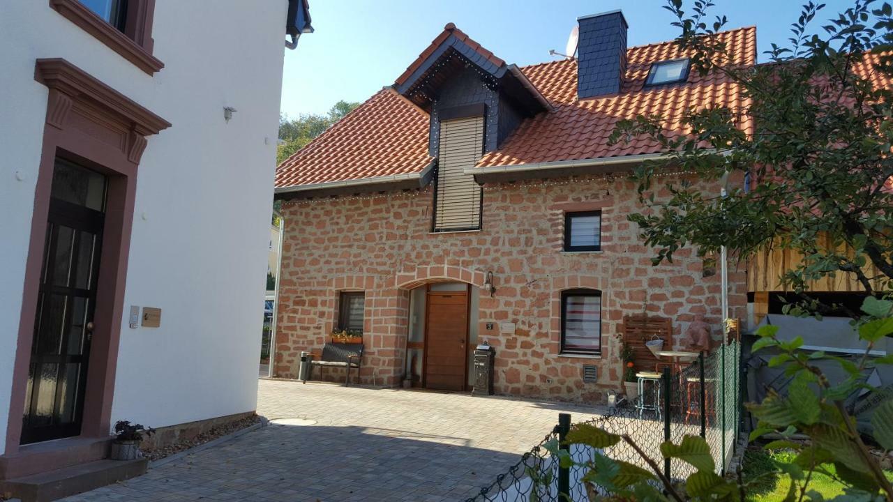 Villa Cantare 美因河畔奥伯恩堡 外观 照片
